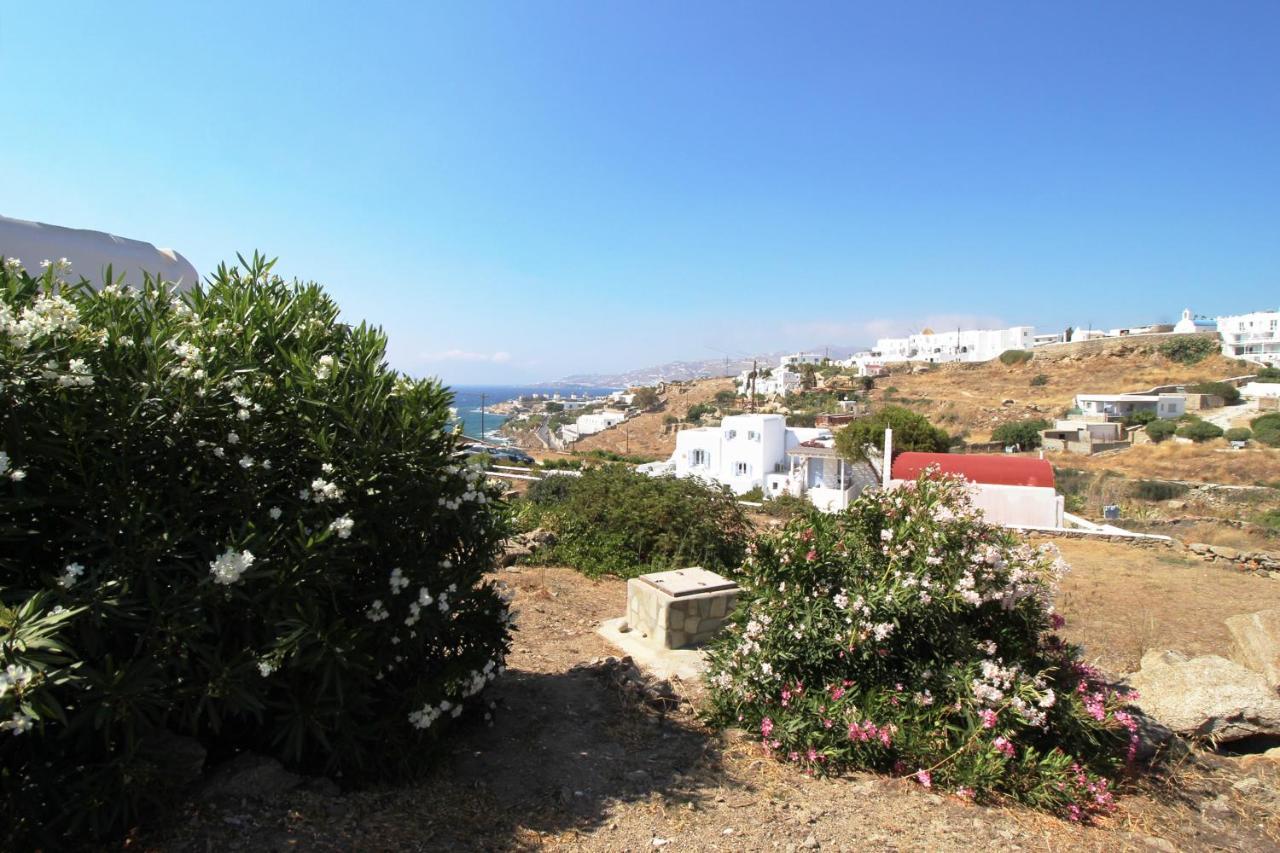 אפרטהוטל Mykonos Town Crystal View Mykonos מראה חיצוני תמונה