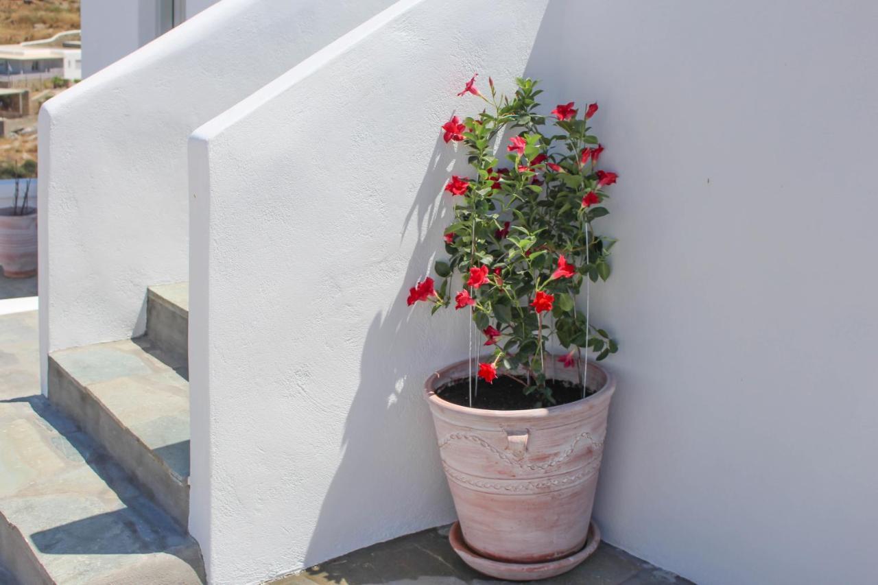 אפרטהוטל Mykonos Town Crystal View Mykonos מראה חיצוני תמונה